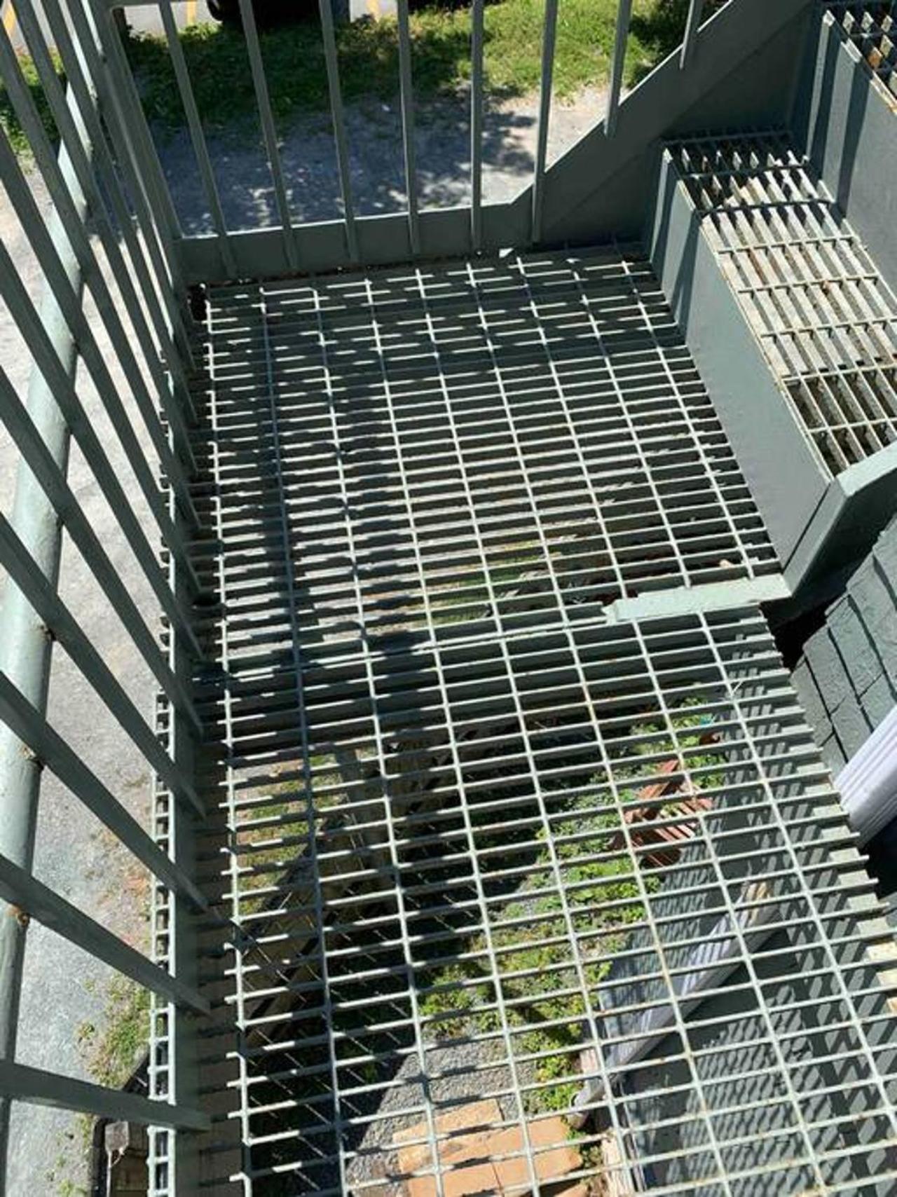 شقة The Loft At Hiltz House هاليفاكس المظهر الخارجي الصورة